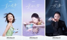 黑木日料爆料视频大全最新,揭秘日料界的神秘面纱