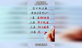 家有四喜在线观看,温馨家庭喜剧的欢乐时光